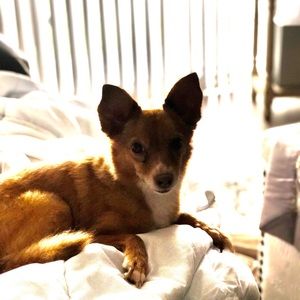 Meet your Posher, Jay